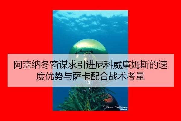 a-sen-na-dong-chuang-mou-qiu-yin-jin-ni-ke-wei-lian-mu-si-de-su-du-you-shi-yu-sa-ka-pei-he-zhan-shu-kao-liang-2-612.jpg